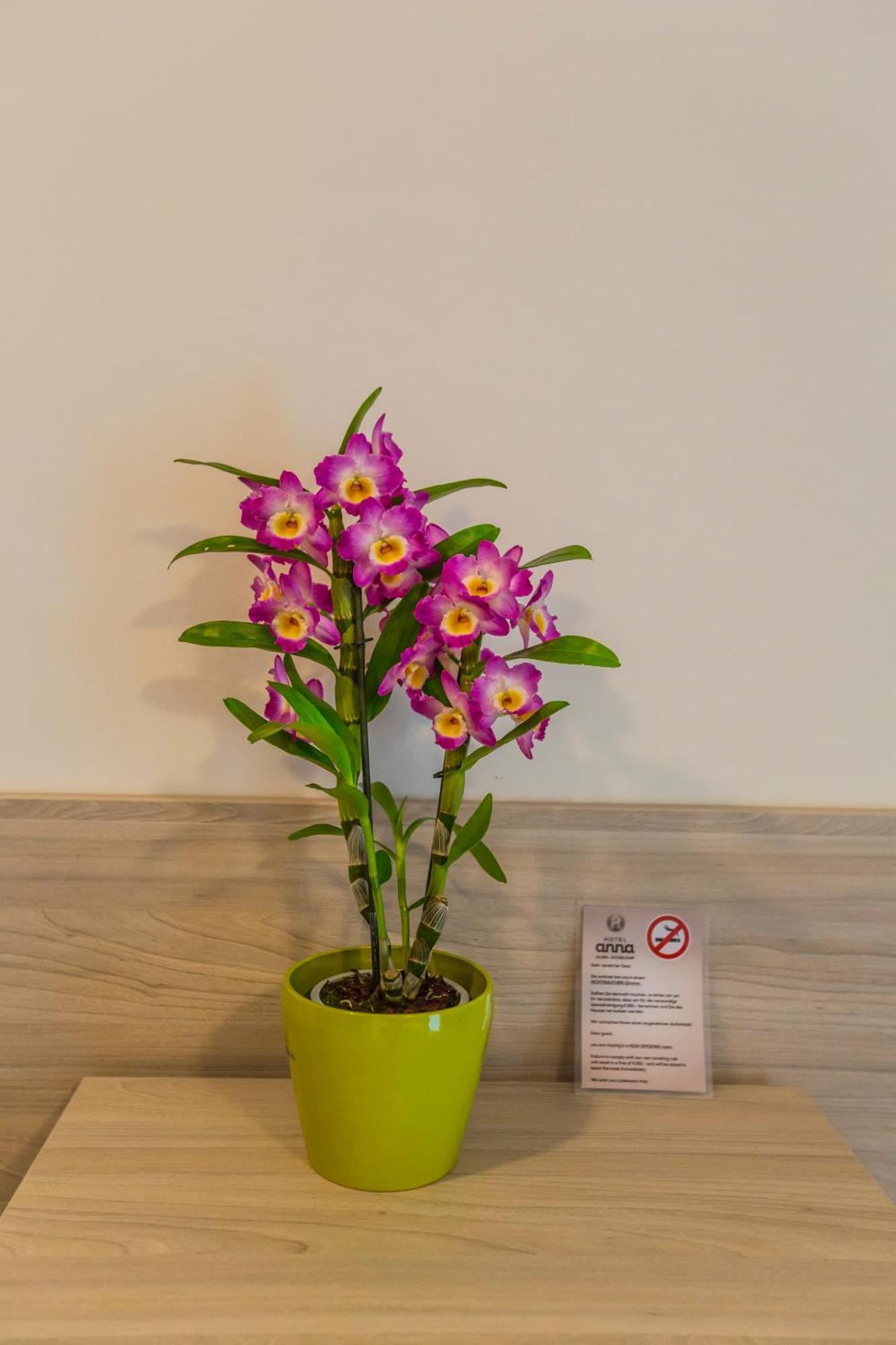 Hotel Anna Hilden Pokój zdjęcie